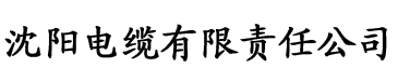 完美男神成长记电缆厂logo